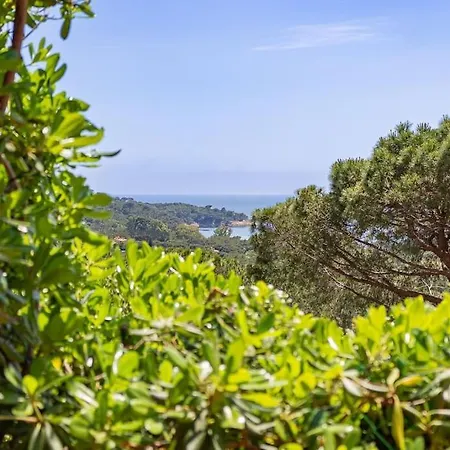 Appartement Close To Gigaro Beach, Surrounded By Nature La Croix-Valmer